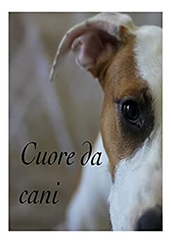 No all'abbandono!