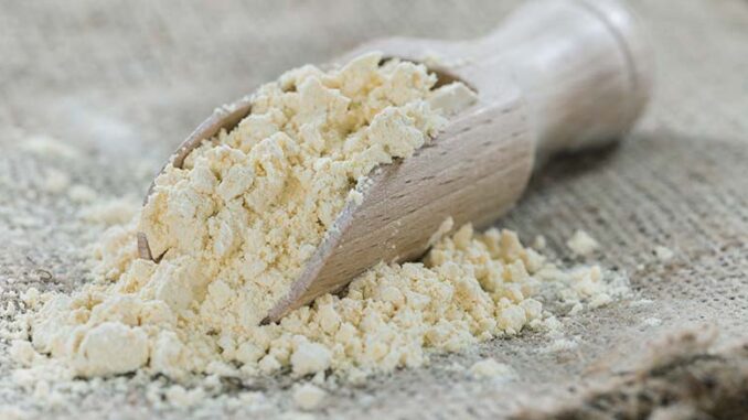 Fungal Protein Market Market: Size, Share, and In-Depth Competitive Analysis Toward 2028 - A TechSci Research Comprehensive Study