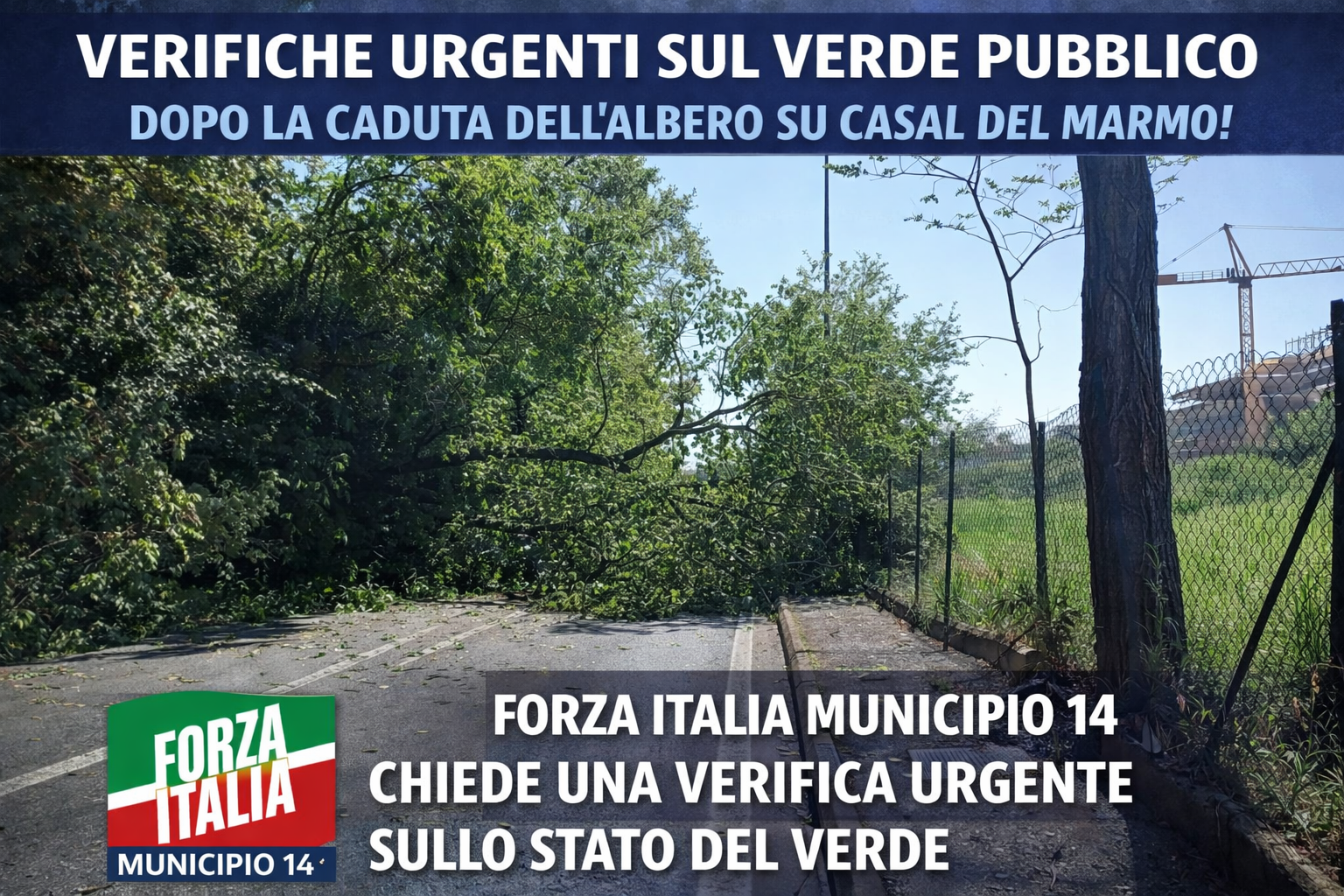 Civitenga e Frigeri (Forza Italia – Municipio XIV) – “Via Casal del Marmo, crolla un albero: chiesto un piano urgente di verifiche sul verde pubblico