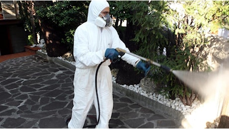 West Nile, allarme in Emilia-Romagna per la circolazione precoce del virus: nessun caso nell’uomo ma il rischio è alto