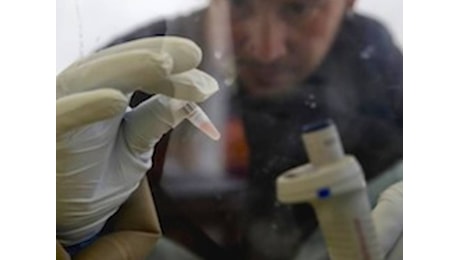 Ebola, falsi allarmi e protocolli. I test al Sacco spengono la paura: «Nessun rischio»