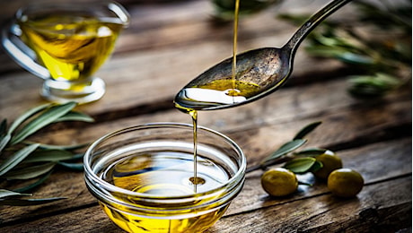 Olio, prezzi in picchiata: i produttori minacciano di lasciare le olive sugli alberi