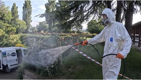 Chikungunya a Pisa, scatta la disinfestazione dopo un nuovo caso