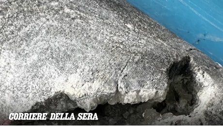 In Valsesia il mantello terrestre è a due chilometri di profondità: al via la seconda fase del progetto Dive
