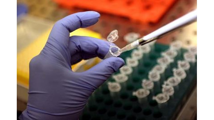 Car-T, remissioni fino al 90% nei tumori pediatrici - Fortune Italia