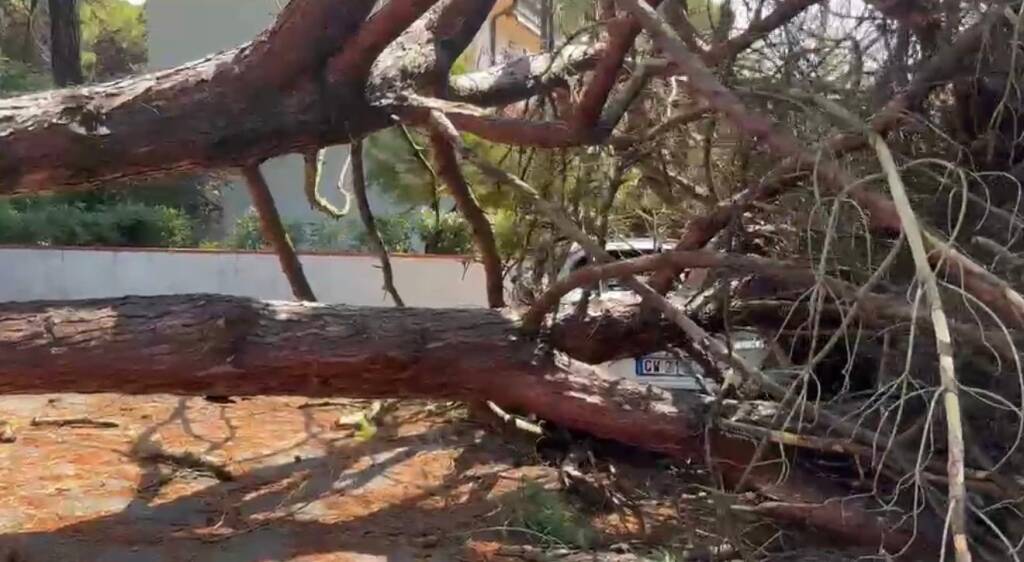 Maltempo. Alberi caduti e strade bloccate a Marina Romea. Tratto della Statale Romea chiuso in entrambe le direzioni per alcune ore