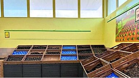 Supermercati con scaffali vuoti, il blocco dei tir aggrava la crisi