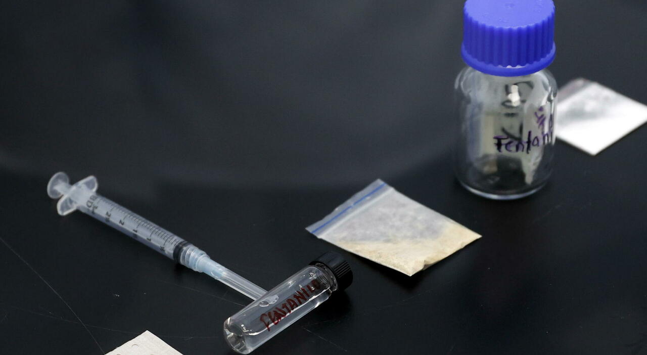 «Fentanyl? Nessun allarme. L'eroina non è mai sparita, il crack è la vera emergenza. E attenzione agli psicofarmaci». La mappa delle droghe in Italia