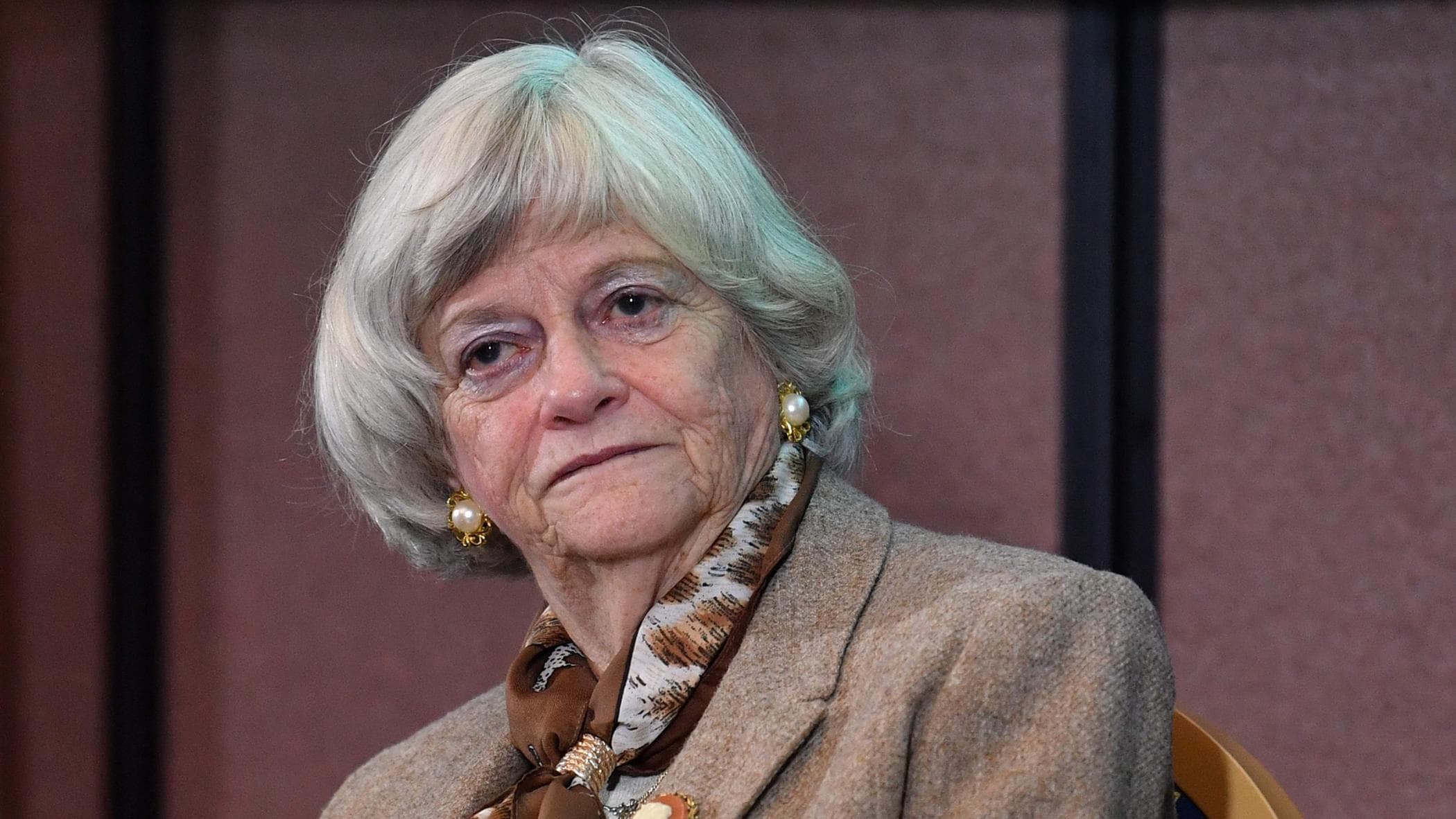 Il mistero Lady Brexit: rilasciato un sospetto. È ancora caccia al killer
