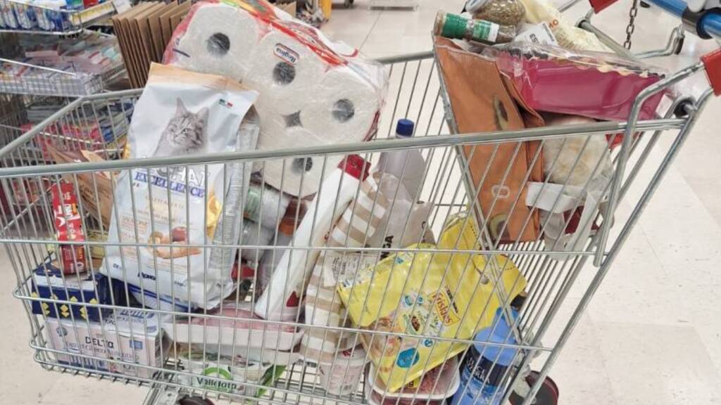 Quantità minori, ma prezzo invariato: come funziona la shrinkflation e come difendersi