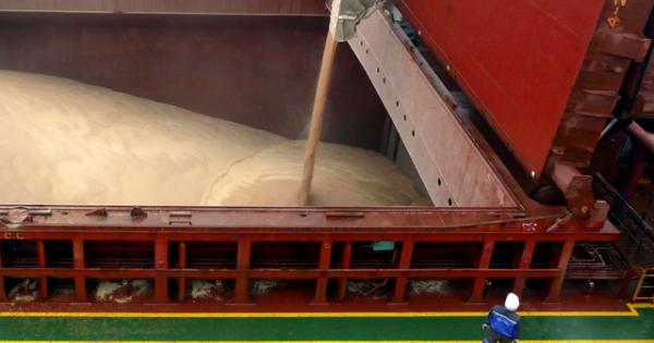 Marina ucraina, missili russi su una nave mercantile turca, 5 morti