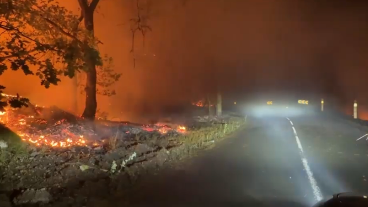 Francia, brucia la foresta di Fontainebleau: in fumo 800 ettari