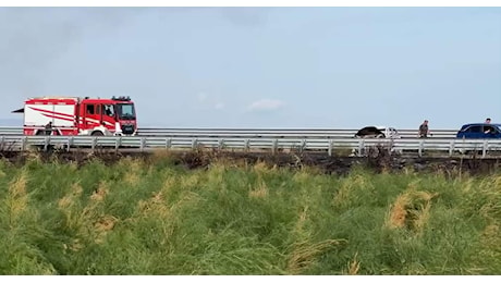Foggia, assalto a portavalori sulla A14: auto in fiamme e chiodi sull'asfalto