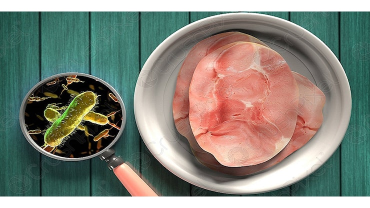 Listeriosi, rapporto EFSA–ECDC: casi gravi in crescita - Doctor33