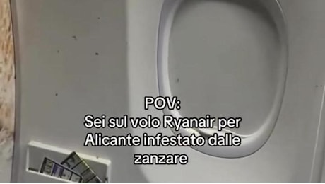 Zanzare invadono il volo Ryanair a Malpensa: passeggeri sbarcati e tre ore di ritardo