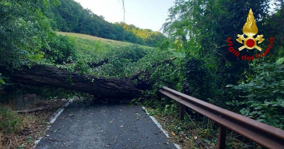 Ottanta interventi per il maltempo, 100 persone isolate per un albero caduto
