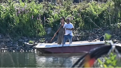 Pistoia, la caccia al coccodrillo nel lago di Masiano continua: l'esperto Behra a caccia del rettile