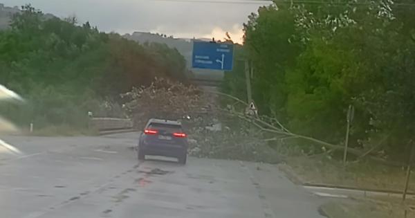Danni da maltempo, ieri quasi cento interventi dei Vigili del fuoco