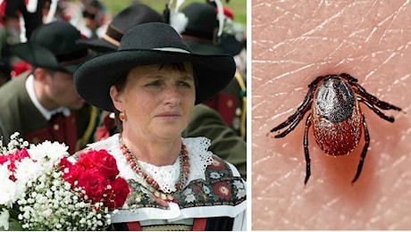 Morsa da una zecca in Trentino, donna muore dopo un mese di agonia: encefalite fatale nonostante il ricovero
