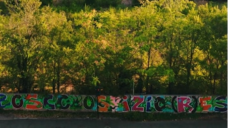 Bosco Ospizio, gli attivisti salgono sulle ruspe contro il cantiere Conad