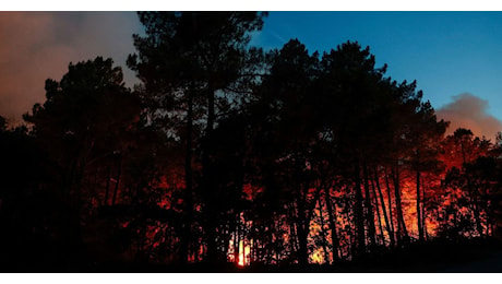 A fuoco la foresta di Fontainebleau, già in fumo 800 ettari