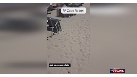 Tgcom24: I lettini rubati da Reggio Emilia... ritrovati in Albania Video