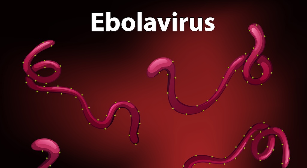 Ebola, la Regione Siciliana rafforza la sorveglianza: «Nessun allarme, ma attenzione alta»