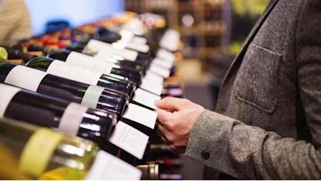 Vino italiano in crisi: 53 milioni di ettolitri fermi in cantina, aziende costrette a declassare le denominazioni
