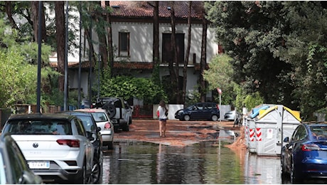 Grandine, vento e alberi crollati. Scuola scoperchiata a Lido. Statale Romea chiusa per ore. Allagamenti in varie strade
