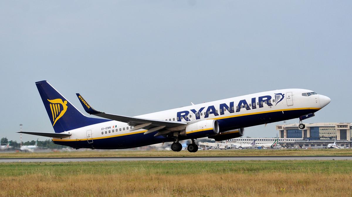 Le zanzare invadono la cabina dell’aereo in partenza da Malpensa: il volo parte con tre ore di ritardo