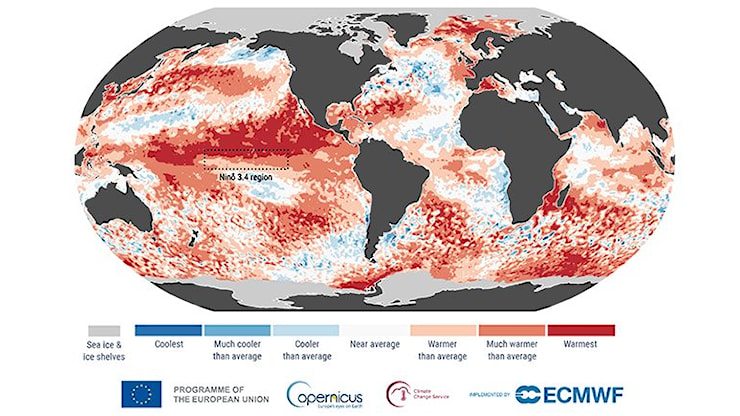 El Niño si intensifica, c'è l'81% di probabilità di un evento di intensità eccezionale: i dati NOAA - Geopop