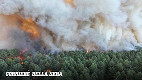 Francia, continua a bruciare la foresta di Fontainebleau. Il ministro degli Interni: «Potrebbe essere doloso»