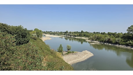 Po in secca, il fiume mostra la crisi idrica a Isola Serafini
