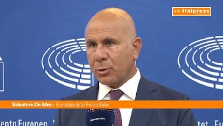 Energia, la Commissione Ue lancia la task force sugli acquisti congiunti. De Meo:Non bastano i proclami"