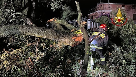 Maltempo nelle Marche e sul Gargano, centinaia di interventi dei vigili del fuoco per alberi caduti e allagamenti
