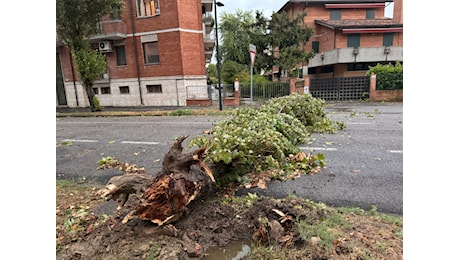 Maltempo. Upi e Anci Emilia Romagna: “Regione e Governo sostengano i territori colpiti”